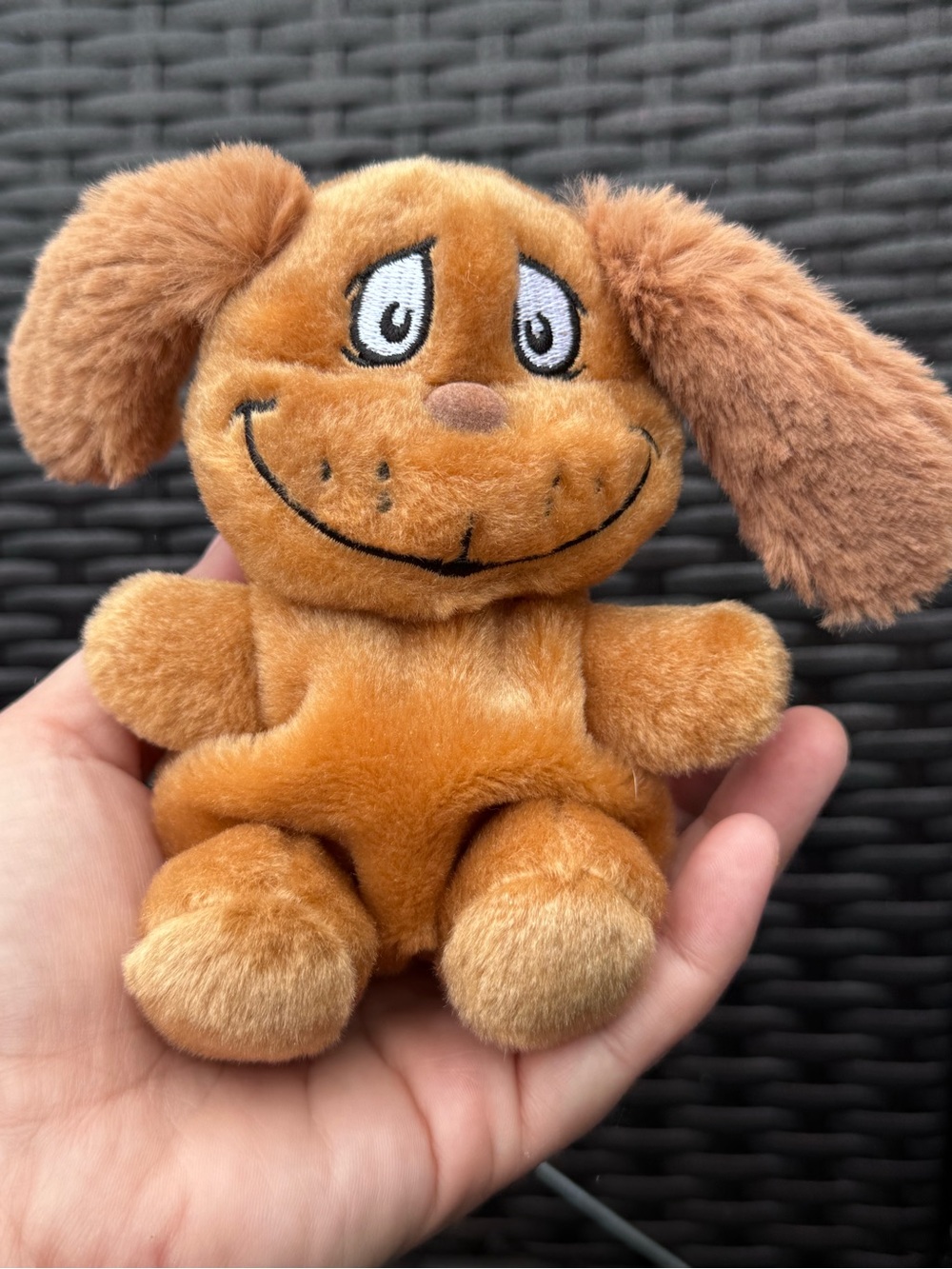 Max Dr. Seuss Aurora World Palm Pet 2025